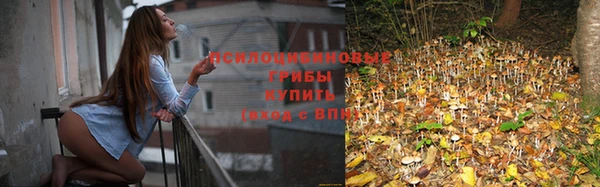 твердый Баксан