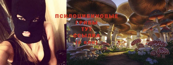 первитин Белокуриха