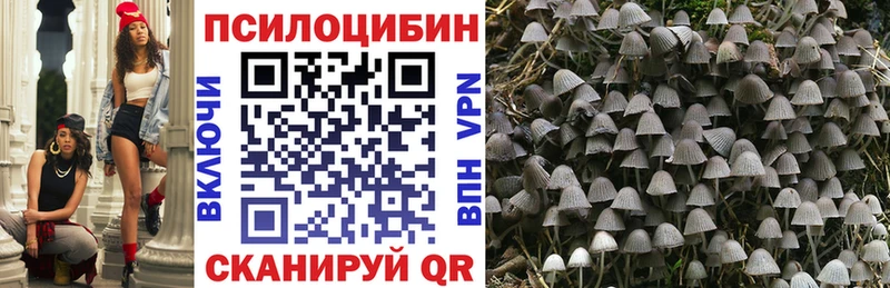 Купить где  Арсеньев  Псилоцибиновые грибы Psilocybine cubensis 